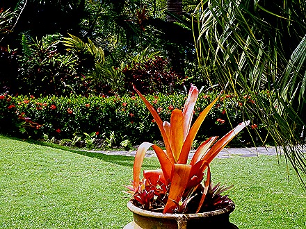 15. 2022, 03-23  Basseterre, St Kitts