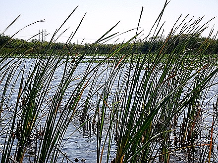 16. 2022, 03-27  Ft Lauderdale, Florida