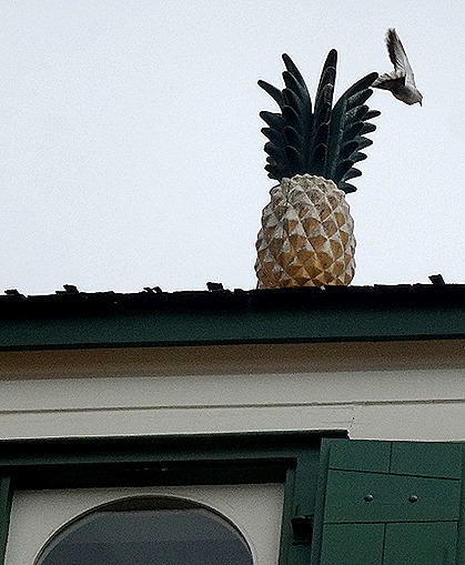 19. 2022, 03-19 Philipsburg, St Maarten