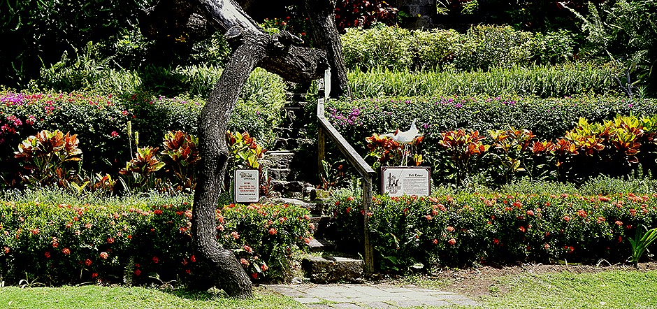 19a. 2022, 03-23  Basseterre, St Kitts_stitch