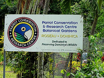 20. 2022, 03-221  Roseau, Dominica