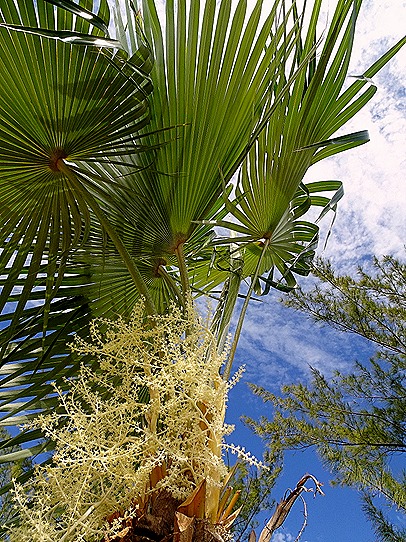 20. 2022, 03-26  Half Moon Cay, Bahamas