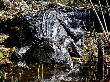 20. 2022, 03-27  Ft Lauderdale, Florida