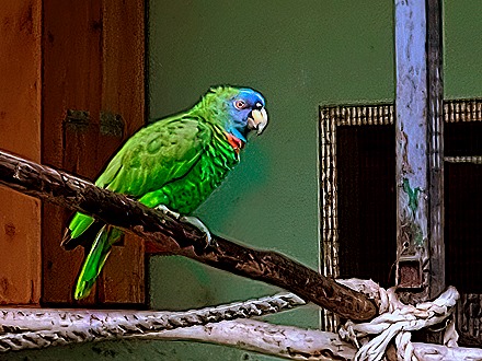 20220322_090116-gigapixel-low_res-scale-6_00x (1)