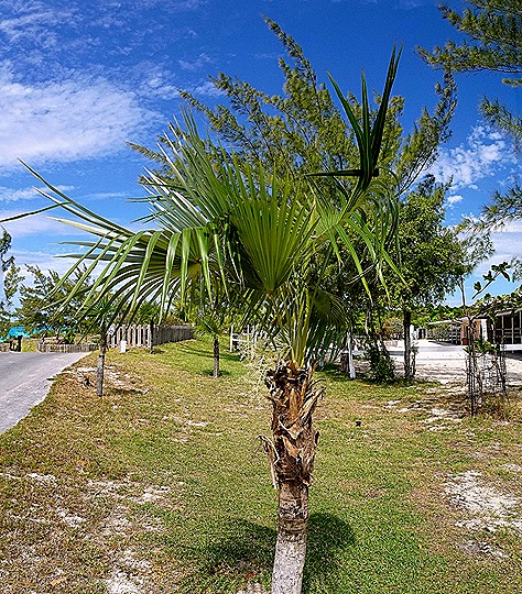 21a. 2022, 03-26  Half Moon Cay, Bahamas_stitch