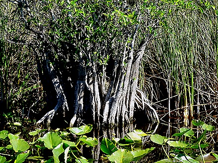 24. 2022, 03-27  Ft Lauderdale, Florida