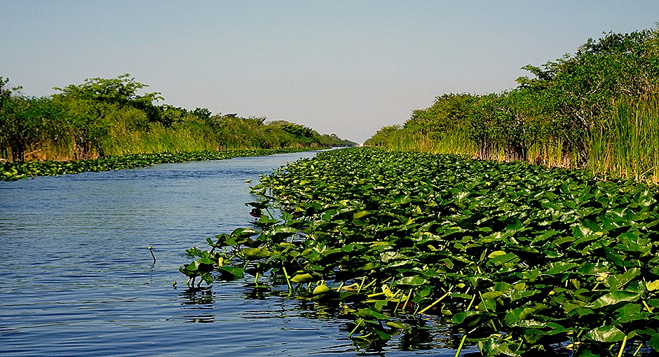 25. 2022, 03-27  Ft Lauderdale, Florida