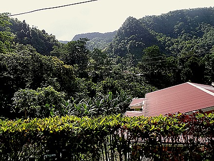 27. 2022, 03-221  Roseau, Dominica