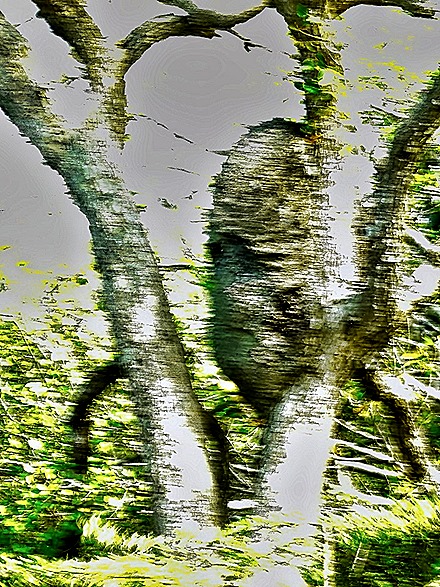 27. 2022, 04-01  Krejelijk, Bonaire-gigapixel-low_res-scale-4_00x-SharpenAI-Motion (1)