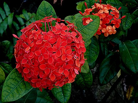 28. 2022, 03-23  Basseterre, St Kitts