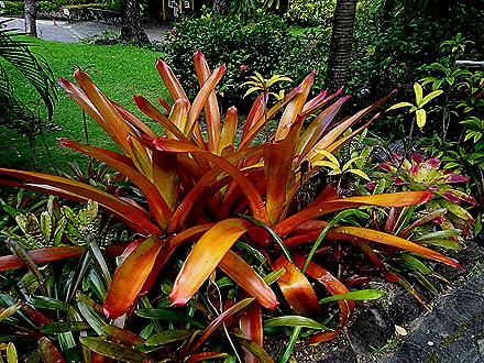 31. 2022, 03-23  Basseterre, St Kitts