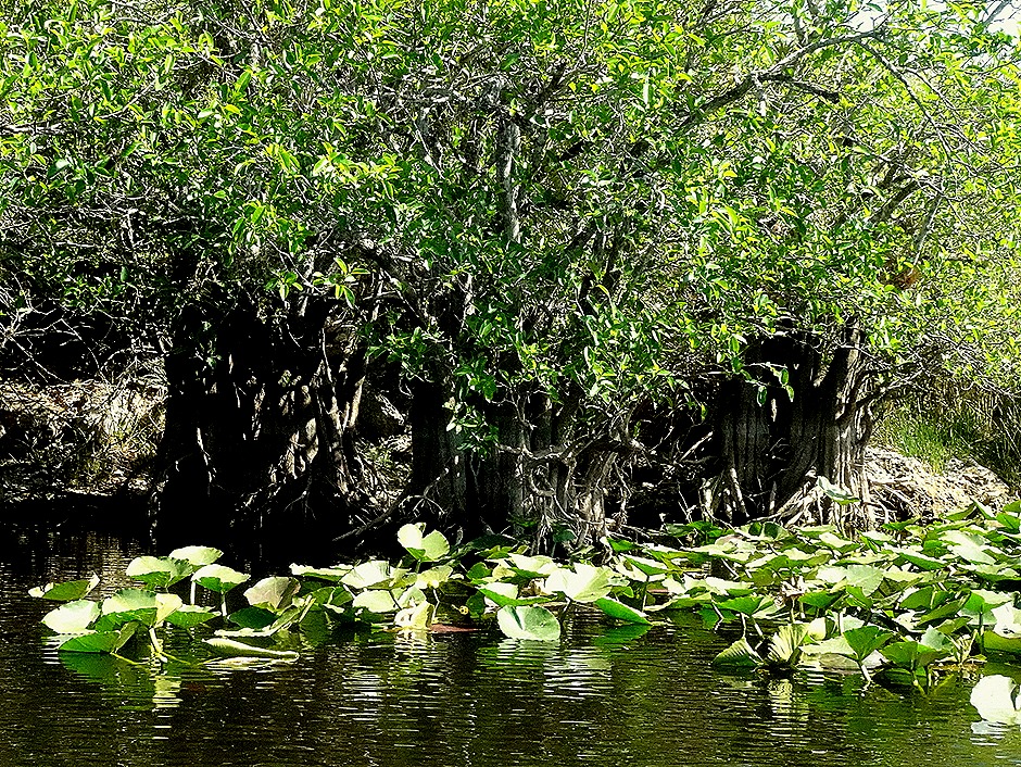 33. 2022, 03-27  Ft Lauderdale, Florida