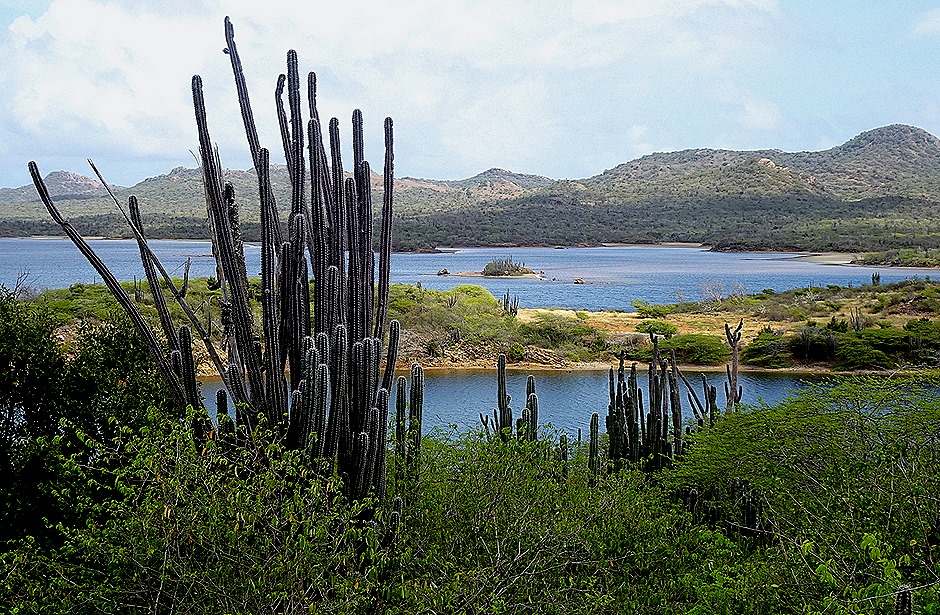 38. 2022, 04-01  Krejelijk, Bonaire