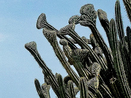 38. 2022, 04-03  Oranjestad, Aruba (2)