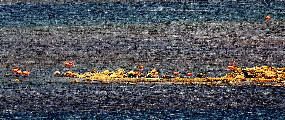 41. 2022, 04-01  Krejelijk, Bonaire