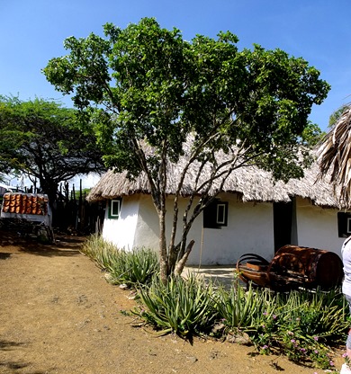 6. 2022, 04-02  Willemstad, Curacao