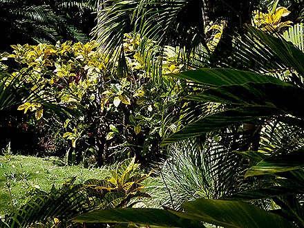 7. 2022, 03-23  Basseterre, St Kitts