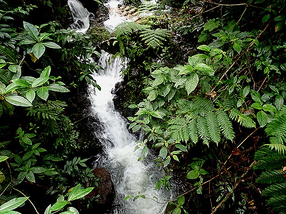 71. 2022, 03-221  Roseau, Dominica