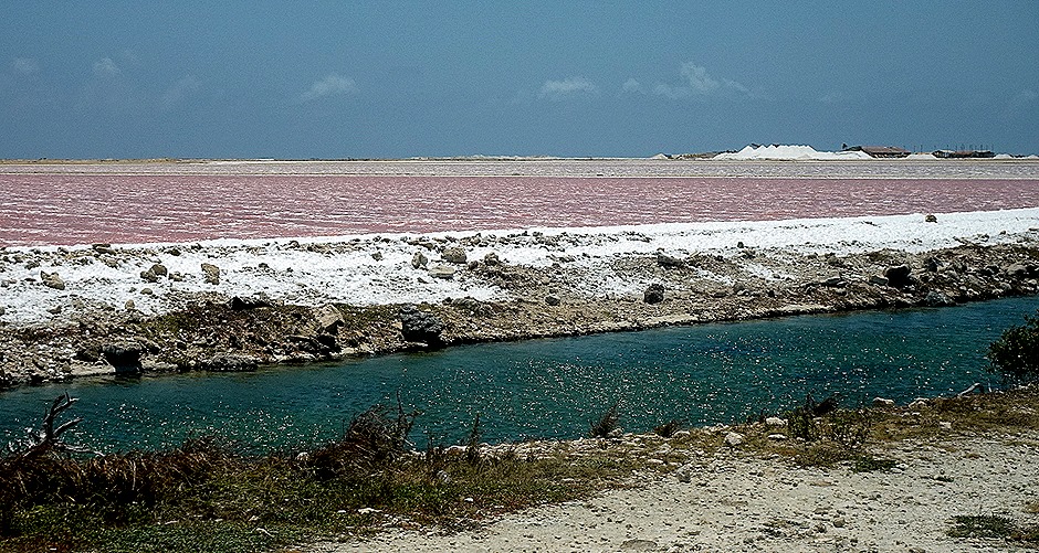 71. 2022, 04-01  Krejelijk, Bonaire