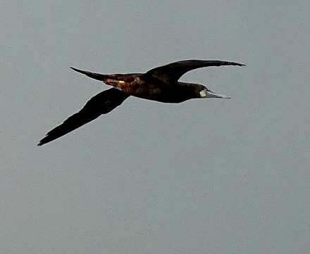 81.  2022, 03-20 Castries, St Lucia