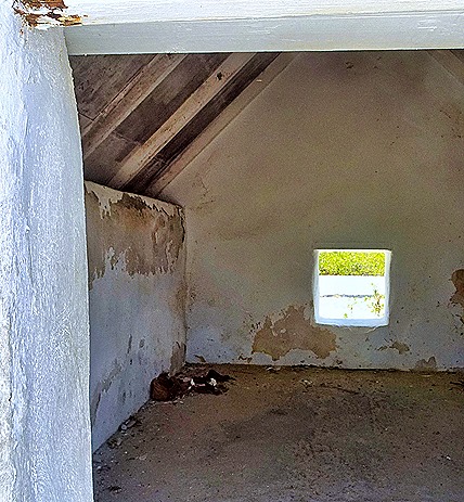 88. 2022, 04-01  Krejelijk, Bonaire (1)