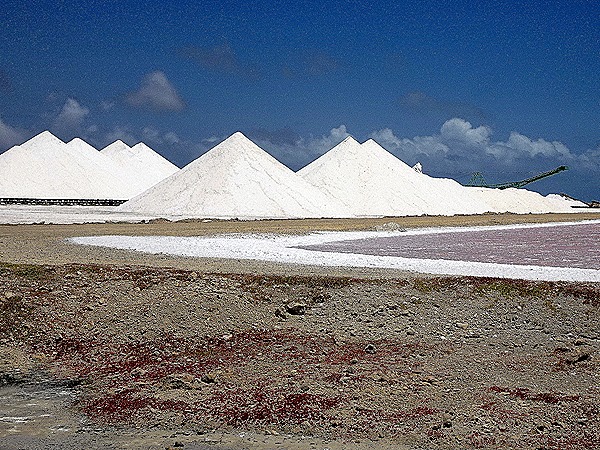 92. 2022, 04-01  Krejelijk, Bonaire