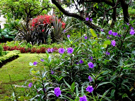 11..  Funchal, Madeira