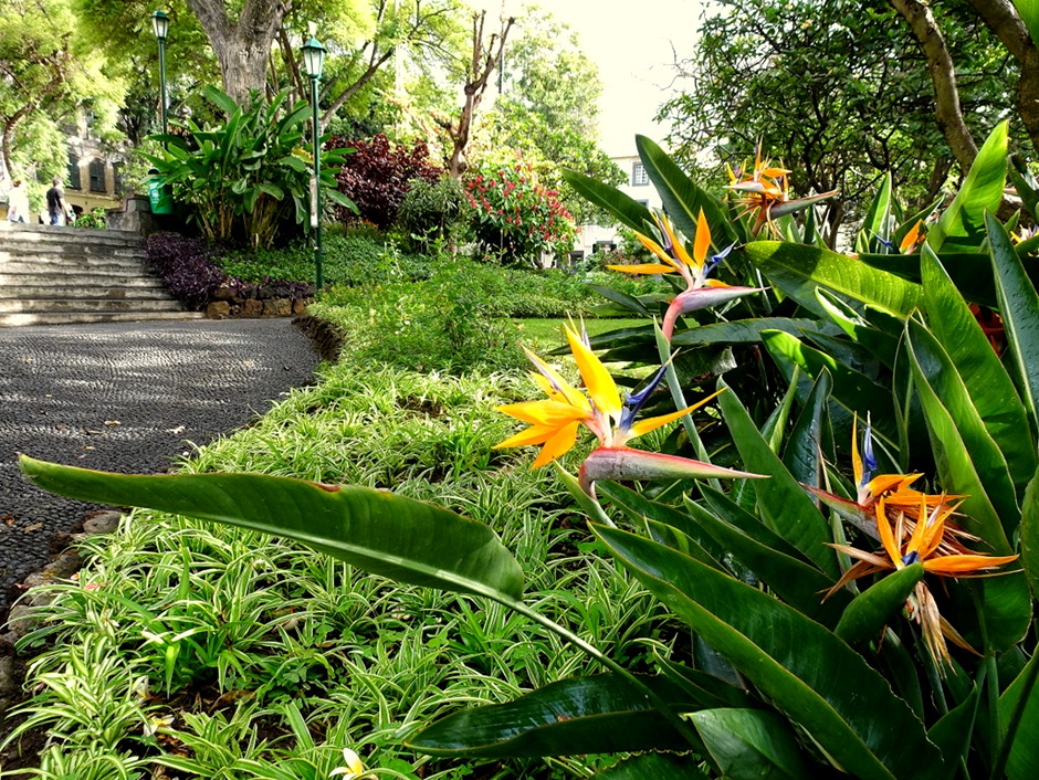 3..  Funchal, Madeira