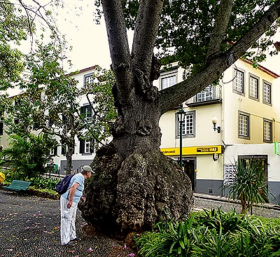 8..  Funchal, Madeira