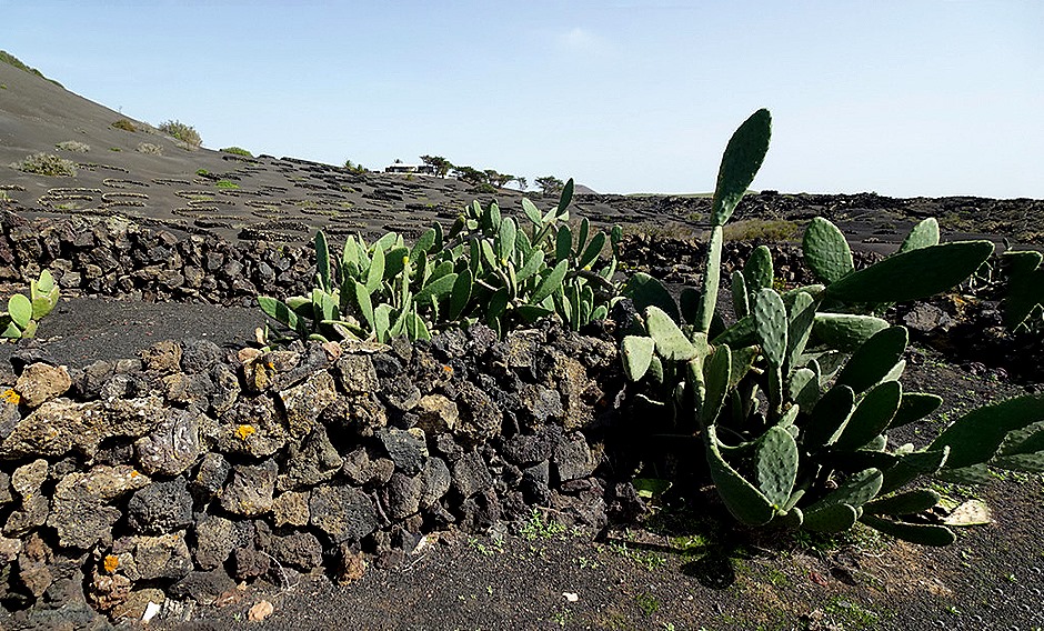 84a..  Arricefe, Lanzarote, Canary Islands_stitch