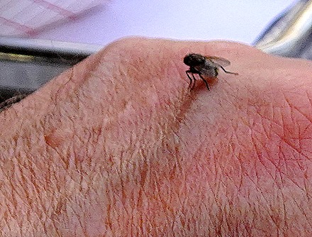 134. Suez Canal (Egypt)