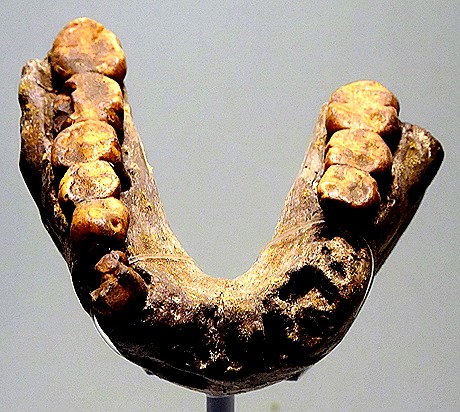 38.  Dar es Salaam (Day 1)-topaz-denoise