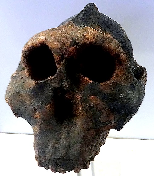 40.  Dar es Salaam (Day 1)-topaz-sharpen-gigapixel-very_compressed-scale-4_00x