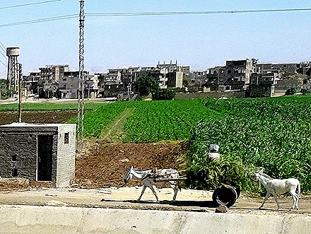 5.  Luxor-topaz-denoise - Copy