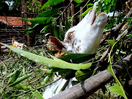 51.  Dar es Salaam (Day 1)-topaz-denoise