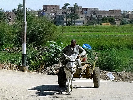 6.  Luxor-topaz-denoise - Copy