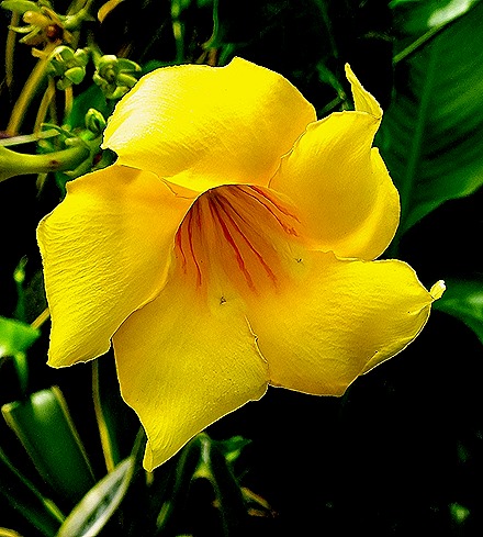 64.  Dar es Salaam (Day 1)-topaz-sharpen