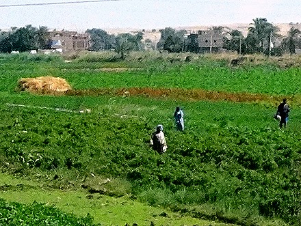 7.  Luxor-topaz-sharpen