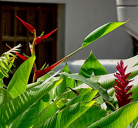 101.  Zanzibar (Day 2)-topaz-denoise