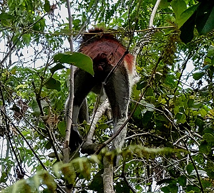 11.  Zanzibar, Tanzania (Day 1)-topaz-denoise