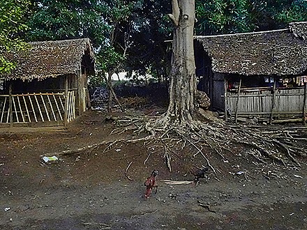 143.  Nosy Be, Madagascar (Day 1)-topaz-denoise-sharpen