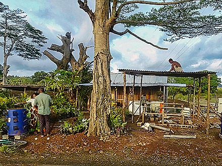145.  Nosy Be, Madagascar (Day 1)-topaz-denoise-faceai