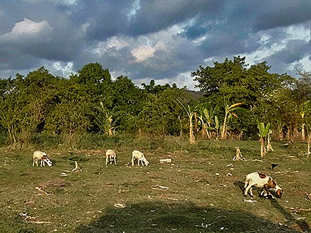 147.  Nosy Be, Madagascar (Day 1)-topaz-denoise