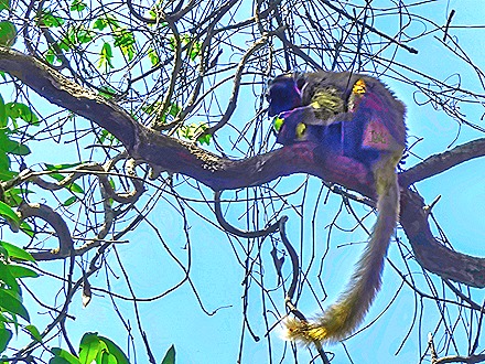 15. Nosy Be, Madagascar (Day 2)-topaz-denoise