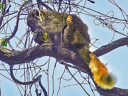 16. Nosy Be, Madagascar (Day 2)-topaz-denoise