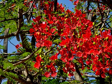 2.  Dar es Salaam (Bagamoyo)-topaz-denoise