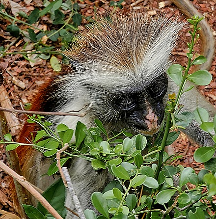 20221112_113210-topaz-denoise