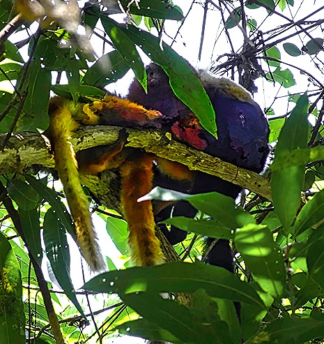 24. Nosy Be, Madagascar (Day 2)-topaz-denoise-sharpen