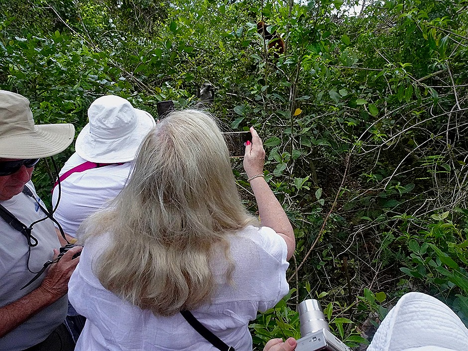 24.  Zanzibar, Tanzania (Day 1)-topaz-sharpen