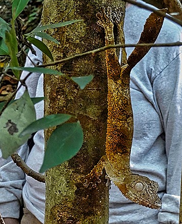 28. Nosy Be, Madagascar (Day 2)-topaz-denoise